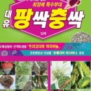 대유스토어