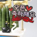 승진당구장 | 창업선물추천 세종 고운동 당구장 개업식화분 제작해드렸어요!