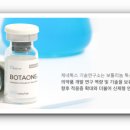 옥토메딕스