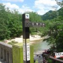 이교상회