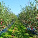 봉화마을길 이미지