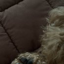 딩딩이발소 이미지