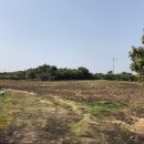 제주토생금공인중개사사무소 이미지