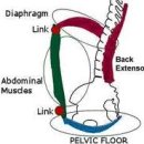 파워존스포츠 이미지