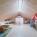 솔레올레 이미지