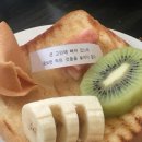 초록의 계절