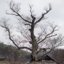 신수로R 네이버블로그