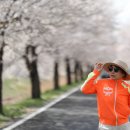 청미천 4 Daum카페