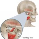 현수한의원 | 턱관절 내장증(TM jt. disorder) feat. '입이 안벌어져요'