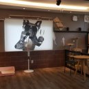 양평애견호텔 이미지