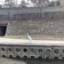 영웅축산 이미지