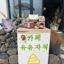 제주유유자적 이미지