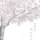 설렌다과 이미지