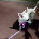 마들스타디움 이미지