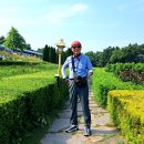 카페정원 이미지