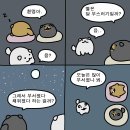 순진한 강아지 이미지