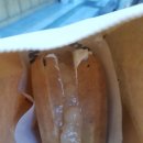 와플대학광주봉선캠퍼스