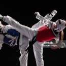 다산 나르샤 태권도장 이미지