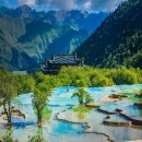 신 황룡 이미지