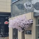 카나이즈미초밥 이미지