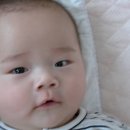 규하나 이미지