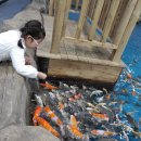 대전아쿠아리움 이미지