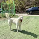 선셋파머스 이미지