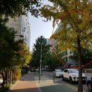 정발산로42번길 이미지