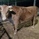 만기농장 이미지