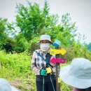 안천 이미지
