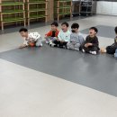 [체육]Bounce! Bounce! 공 튀기기!🏀 이미지