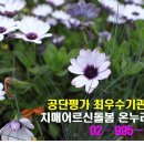 사랑돌봄재가복지센터.복지용구 이미지