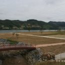 진월 돈탁마을 숲 네이버블로그