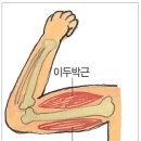 트렌드핏 김해점 이미지