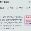 츄핏 네이버블로그
