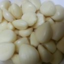 웰빙김치 만들기 이미지