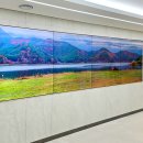 예스비디오 이미지