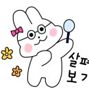 짱구게임장 이미지