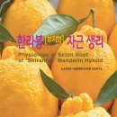 남원읍-107 이미지