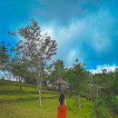 허니문2 | 발리 신혼여행 허니문 2편 동부투어 지프투어 솔직후기와 꿀팁