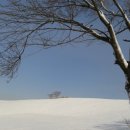 온양목장1 이미지