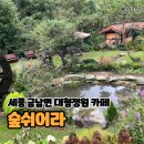 숲 쉬어라