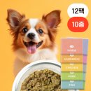 저단4 | 오늘의 강아지 밥상｜도거박스 저단저지 화식 먹는 날