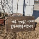 부안 봄해언니네 - 격포 근처 한식 디저트 애견동반 카페 후기