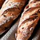 웰빙 발효빵 이미지