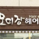 미모미장