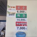 금천리 산수유 | 광양 매화축제 (입장료, 주차, 셔틀버스, 개화율)
