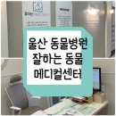 울산 잘하는동물메디컬센터 이미지