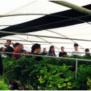 양홍일 농장 이미지