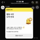 위드왈왈 이미지